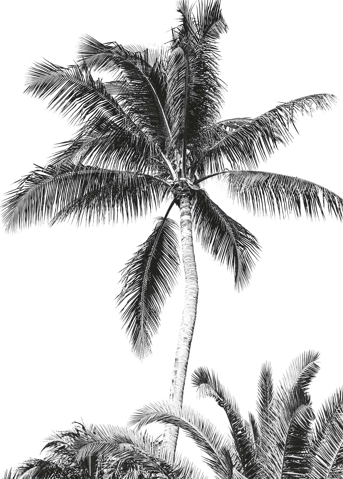 Komar Vliestapete »Digitaldruck Vlies - Retro Palm - Grösse 200 x 280 cm«, bedruckt, Kinderzimmer Komar Vliestapete »Digitaldruck Vlies - Retro Palm - Grösse 200 x 280 cm«, bedruckt, Kinderzimmer von Komar
