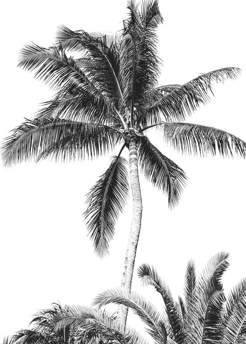Komar Vliestapete »Digitaldruck Vlies - Retro Palm - Grösse 200 x 280 cm«, bedruckt, Kinderzimmer von Komar