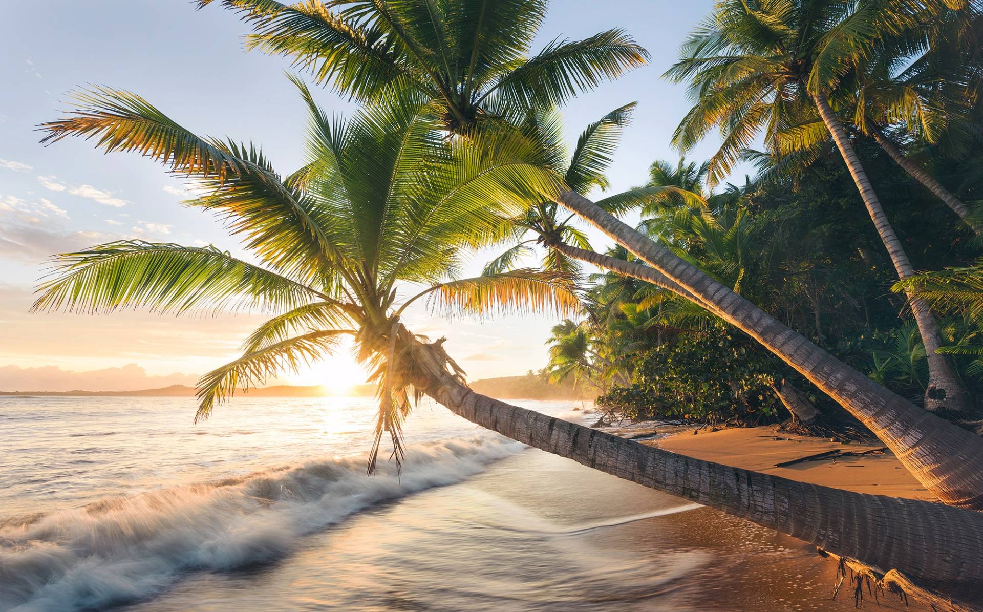 Komar Vliestapete »Digitaldruck Vlies - Strandgeheimnis - Grösse 450 x 280 cm«, bedruckt, Wohnzimmer, Schlafzimmer Komar Vliestapete »Digitaldruck Vlies - Strandgeheimnis - Grösse 450 x 280 cm«, bedruckt, Wohnzimmer, Schlafzimmer von Komar