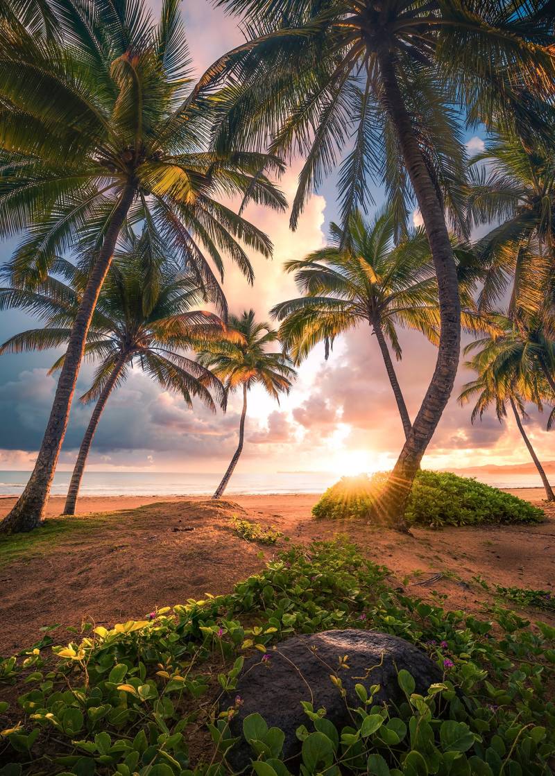 Komar Vliestapete »Digitaldruck Vlies - Vertical Paradise - Grösse 200 x 280 cm«, bedruckt, Wohnzimmer, Schlafzimmer von Komar