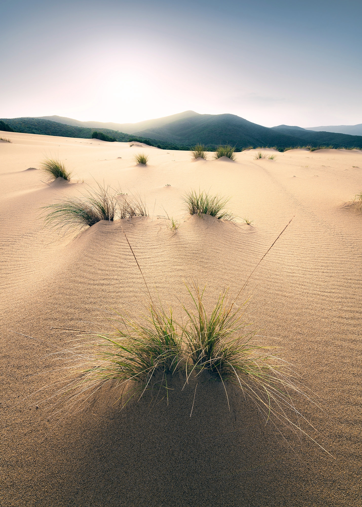 Komar Vliestapete »Vivid Dunes« von Komar