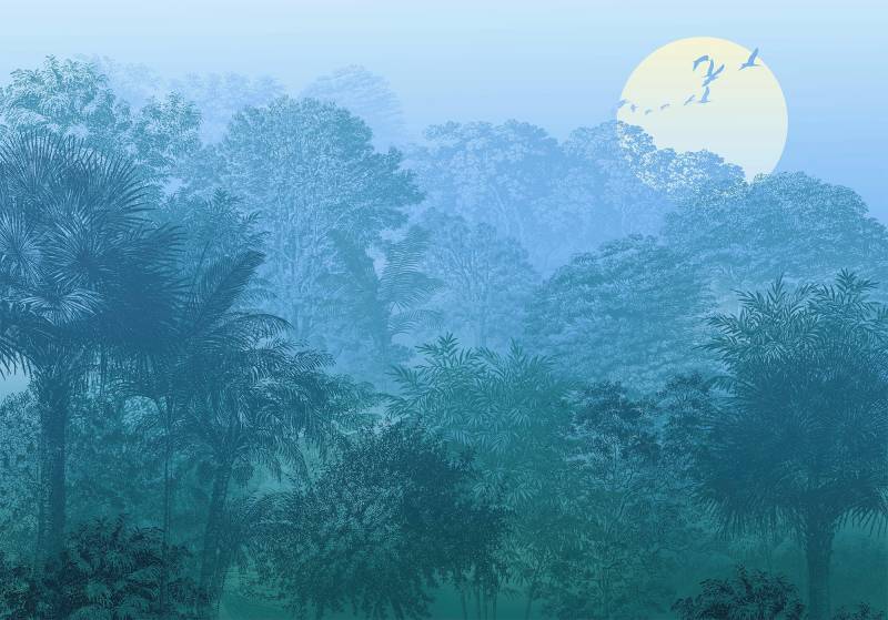 Komar Vliestapete »Digitaldruck Vlies - Deep in the Jungle - Grösse 400 x 280 cm«, bedruckt, Wohnzimmer, Schlafzimmer von Komar