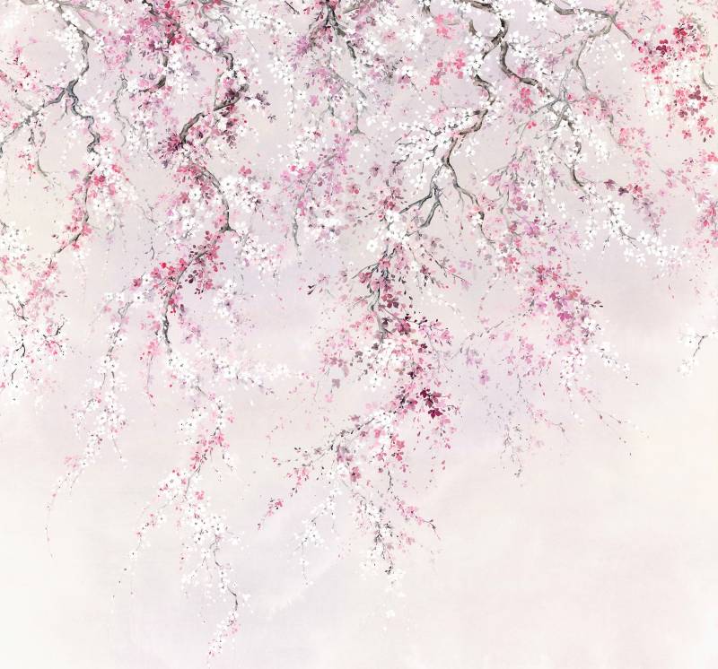 Komar Vliestapete »Digitaldruck Vlies - Kirschblüten - Grösse 300 x 280 cm«, bedruckt, Wohnzimmer, Schlafzimmer von Komar