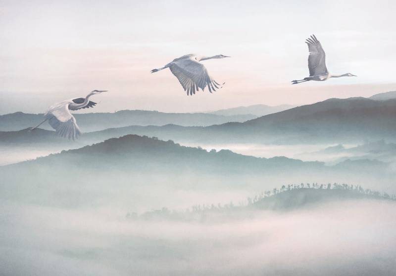 Komar Vliestapete »Digitaldruck Vlies - Mystic Cranes - Grösse 400 x 280 cm«, bedruckt, Wohnzimmer, Schlafzimmer von Komar