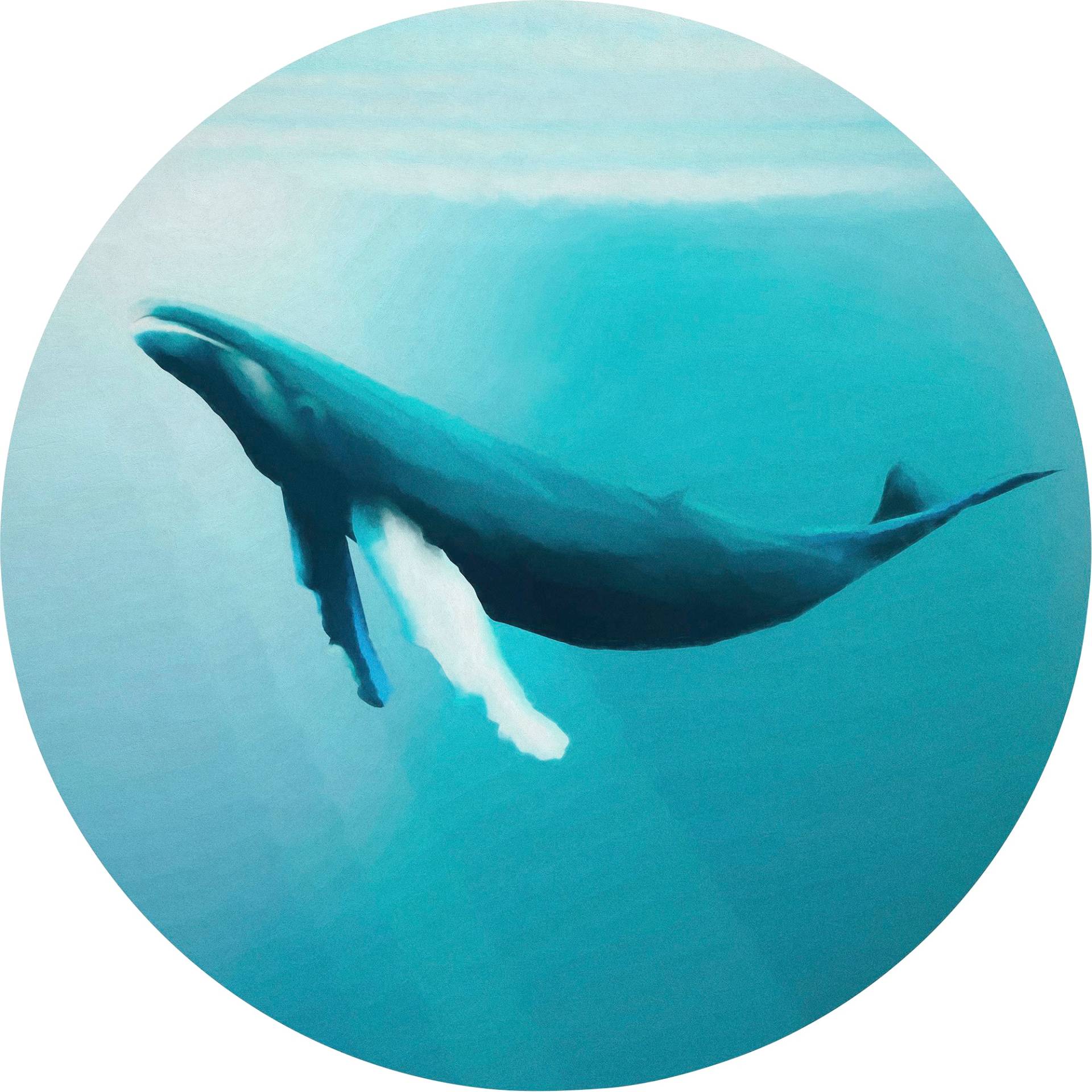 Komar Fototapete »Whale Watching« von Komar
