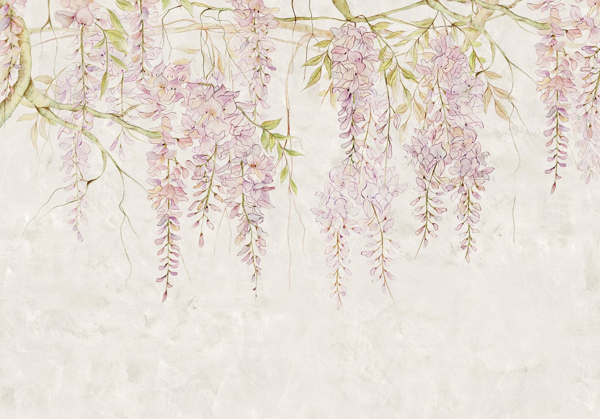 Komar Vliestapete »Digitaldruck Vlies - Wisteria - Grösse 400 x 280 cm«, bedruckt, Wohnzimmer, Schlafzimmer Komar Vliestapete »Digitaldruck Vlies - Wisteria - Grösse 400 x 280 cm«, bedruckt, Wohnzimmer, Schlafzimmer von Komar