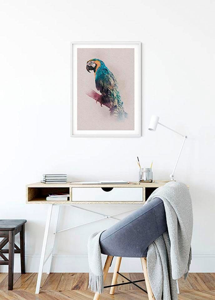 Komar Poster »Animals Paradise Parrot«, Tiere, (1 St.) von Komar