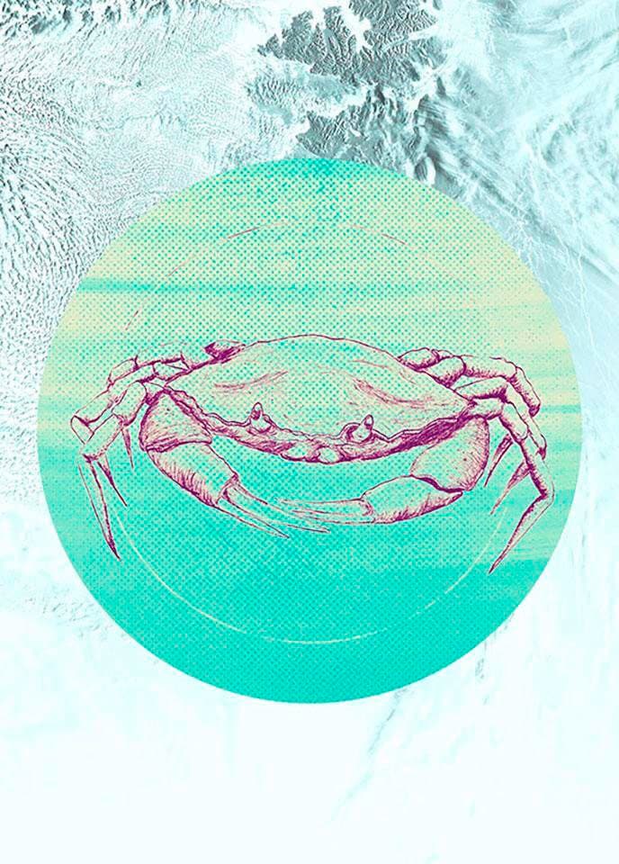 Komar Bild »Crab Sea«, Tiere, (1 St.), Wandbild zur Dekoration - ohne Rahmen Komar Bild »Crab Sea«, Tiere, (1 St.), Wandbild zur Dekoration - ohne Rahmen von Komar