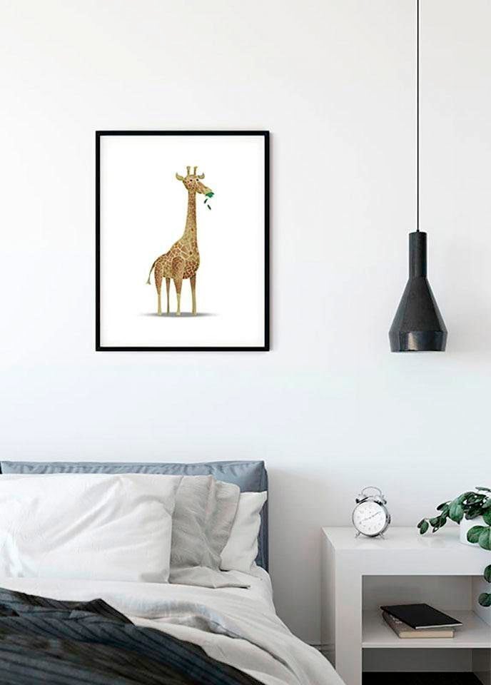 Komar Bild »Cute Animal Giraffe«, Tiere, (1 St.), Wandbild zur Dekoration - ohne Rahmen Komar Bild »Cute Animal Giraffe«, Tiere, (1 St.), Wandbild zur Dekoration - ohne Rahmen von Komar