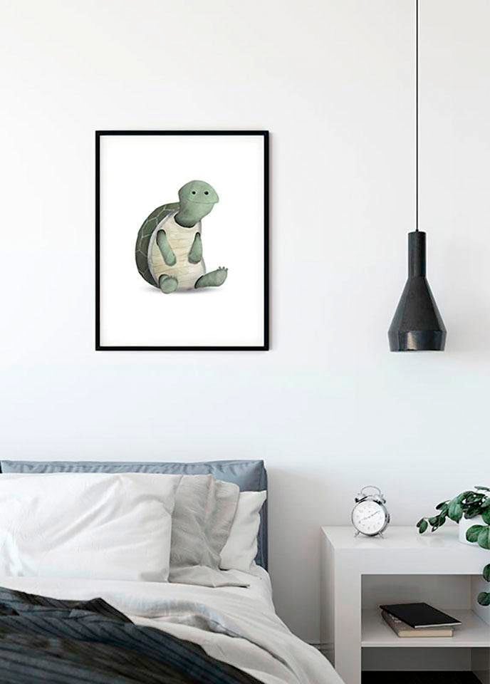 Komar Poster »Cute Animal Turtle«, Schildkröten, (1 St.) von Komar