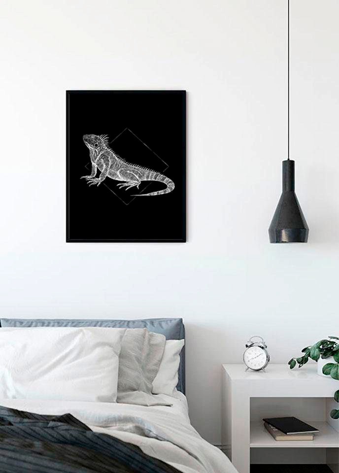 Komar Bild »Iguana Black«, Tiere, (1 St.), Wandbild zur Dekoration - ohne Rahmen Komar Bild »Iguana Black«, Tiere, (1 St.), Wandbild zur Dekoration - ohne Rahmen von Komar