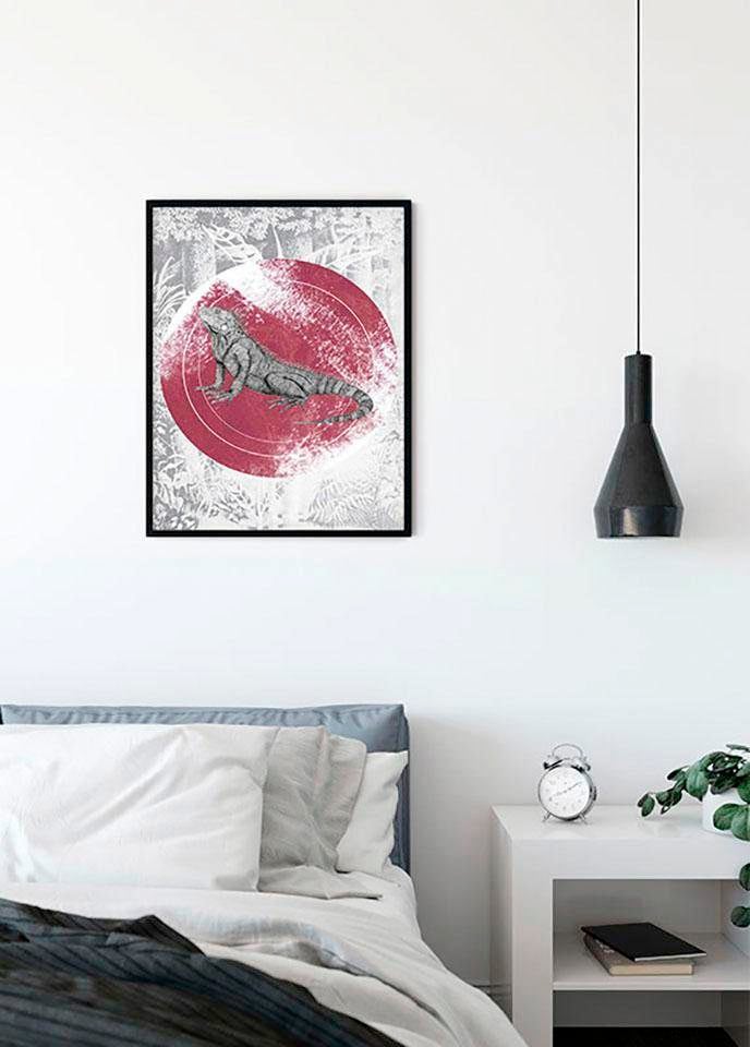 Komar Bild »Iguana Circle«, Tiere, (1 St.), Wandbild zur Dekoration - ohne Rahmen Komar Bild »Iguana Circle«, Tiere, (1 St.), Wandbild zur Dekoration - ohne Rahmen von Komar