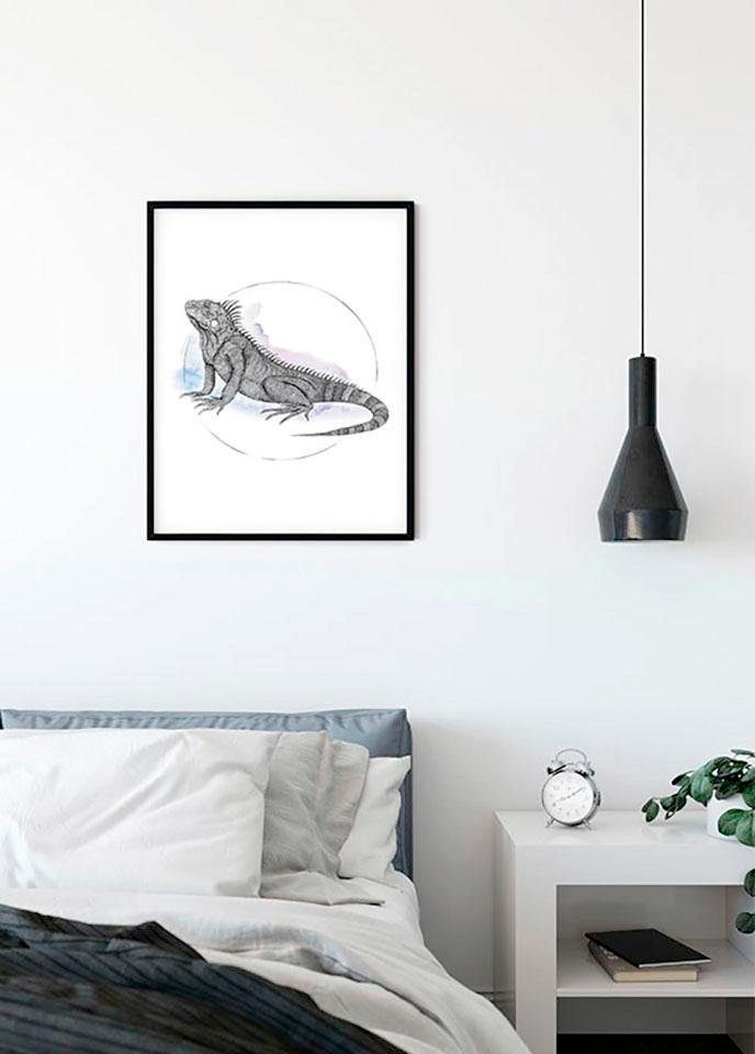 Komar Bild »Iguana Watercolor«, Tiere, (1 St.), Wandbild zur Dekoration - ohne Rahmen Komar Bild »Iguana Watercolor«, Tiere, (1 St.), Wandbild zur Dekoration - ohne Rahmen von Komar