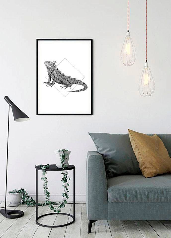 Komar Bild »Iguana White«, Tiere, (1 St.), Wandbild zur Dekoration - ohne Rahmen von Komar