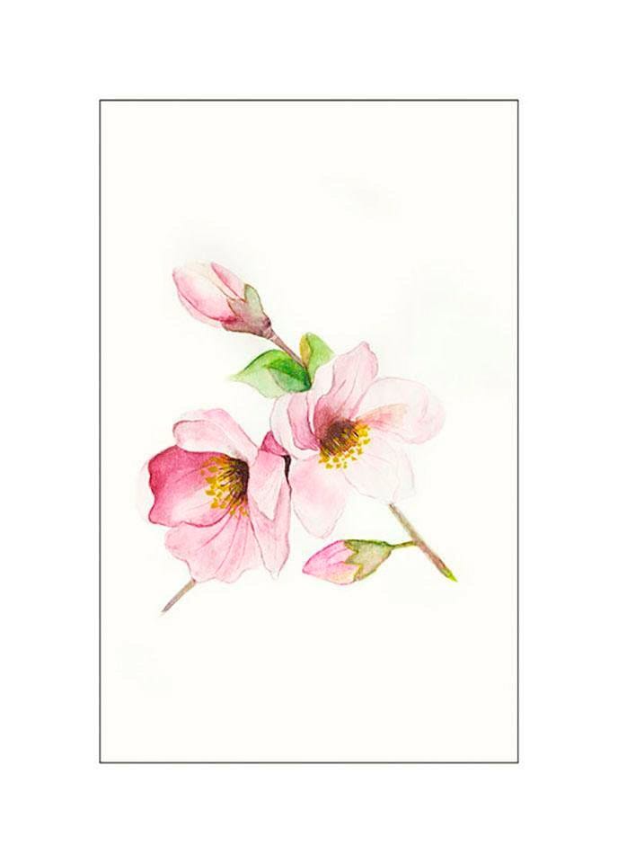 Komar Poster »Magnolia Breathe«, Blumen, (1 St.) von Komar