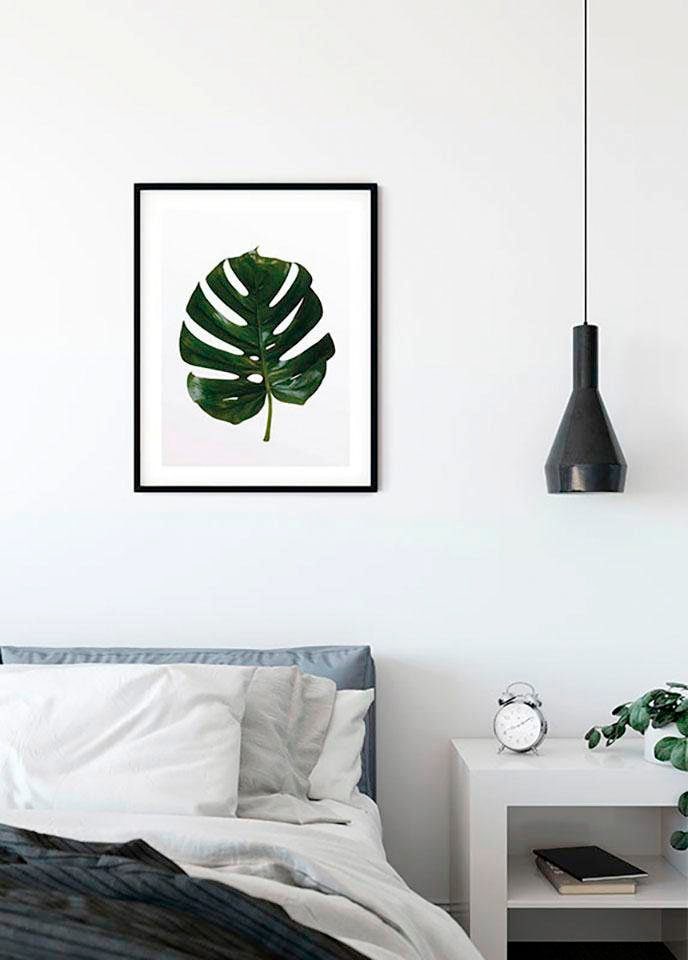 Komar Poster »Monstera Leaf«, Pflanzen-Blätter, (1 St.) von Komar