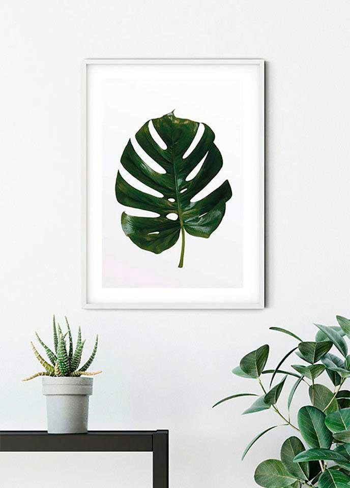 Komar Poster »Monstera Leaf«, Pflanzen-Blätter, (1 St.) von Komar