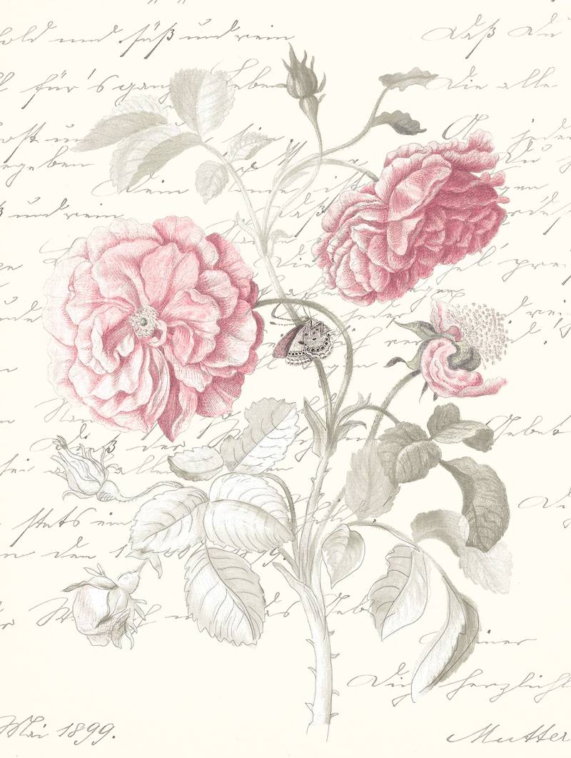 Komar Poster »Poème Rose«, (1 St.) von Komar