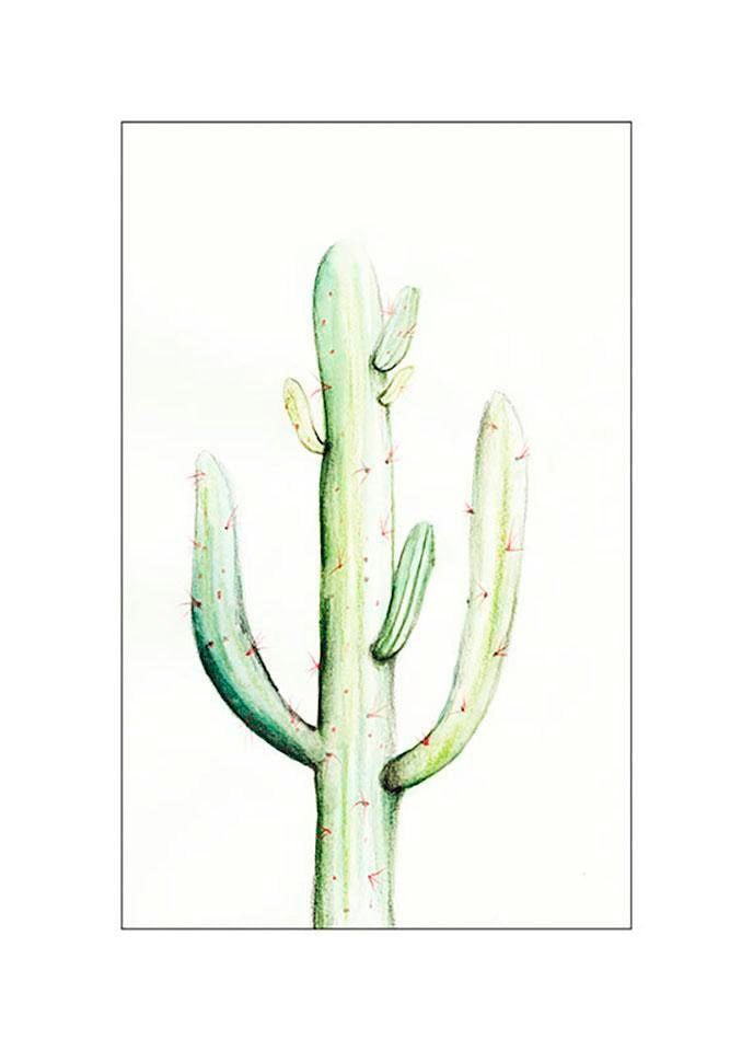 Komar Bild »Saguaro Watercolor«, Pflanzen-Blätter, (1 St.), Wandbild zur Dekoration - ohne Rahmen von Komar