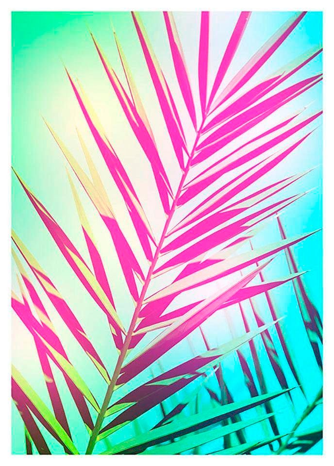 Komar Poster »Shine«, Pflanzen-Blätter, (1 St.) von Komar