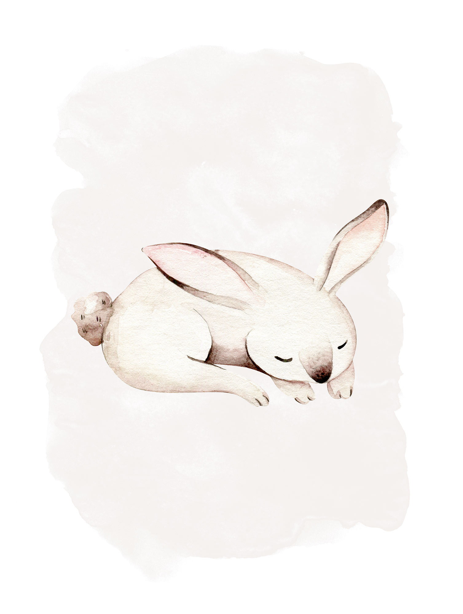 Komar Poster »Sleepy Bunny«, (1 St.) von Komar