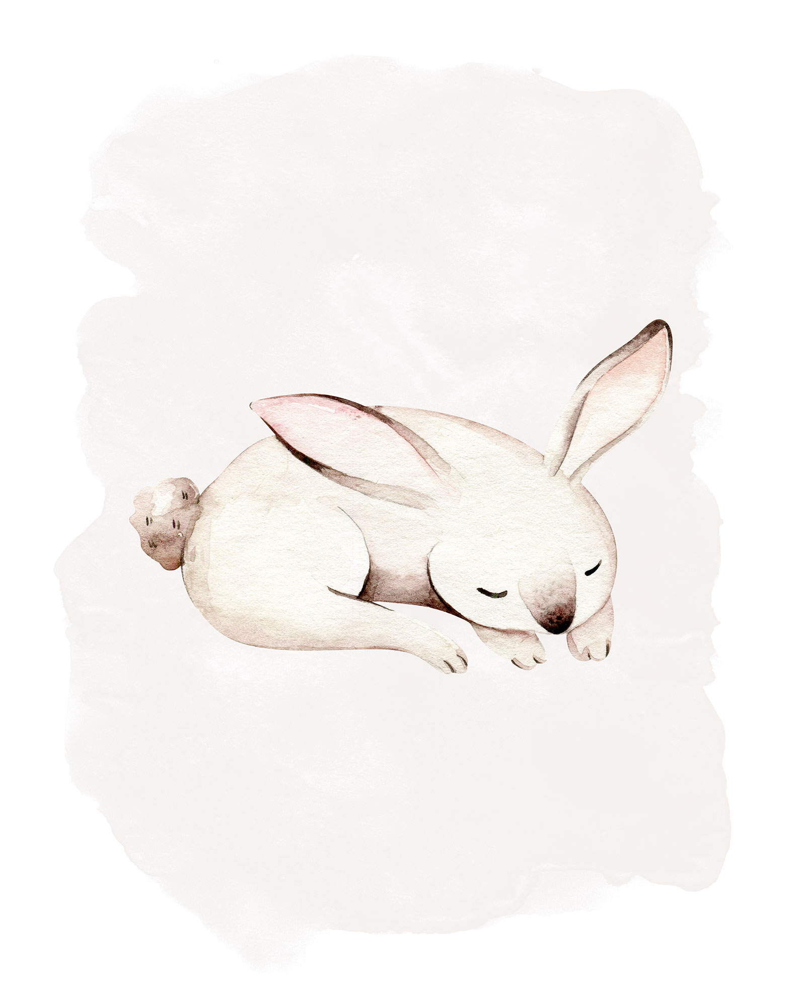 Komar Poster »Sleepy Bunny«, (1 St.) von Komar