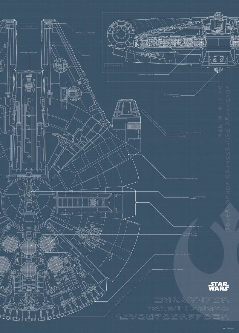 Komar Bild »Star Wars Blueprint Falcon«, Star Wars, (1 St.), Wandbild zur Dekoration im Kinderzimmer - ohne Rahmen von Komar