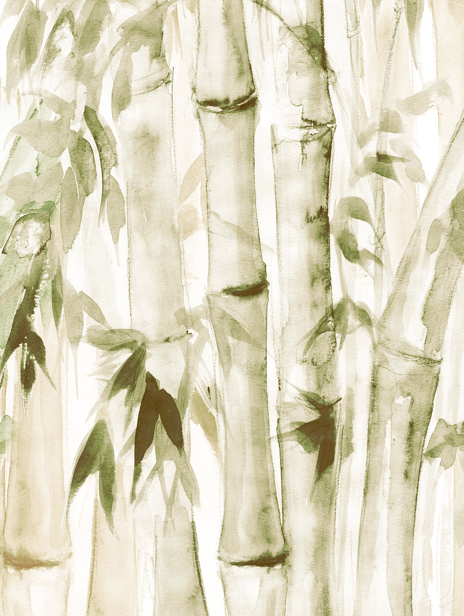 Komar Poster »Wild Bamboo«, (1 St.) von Komar