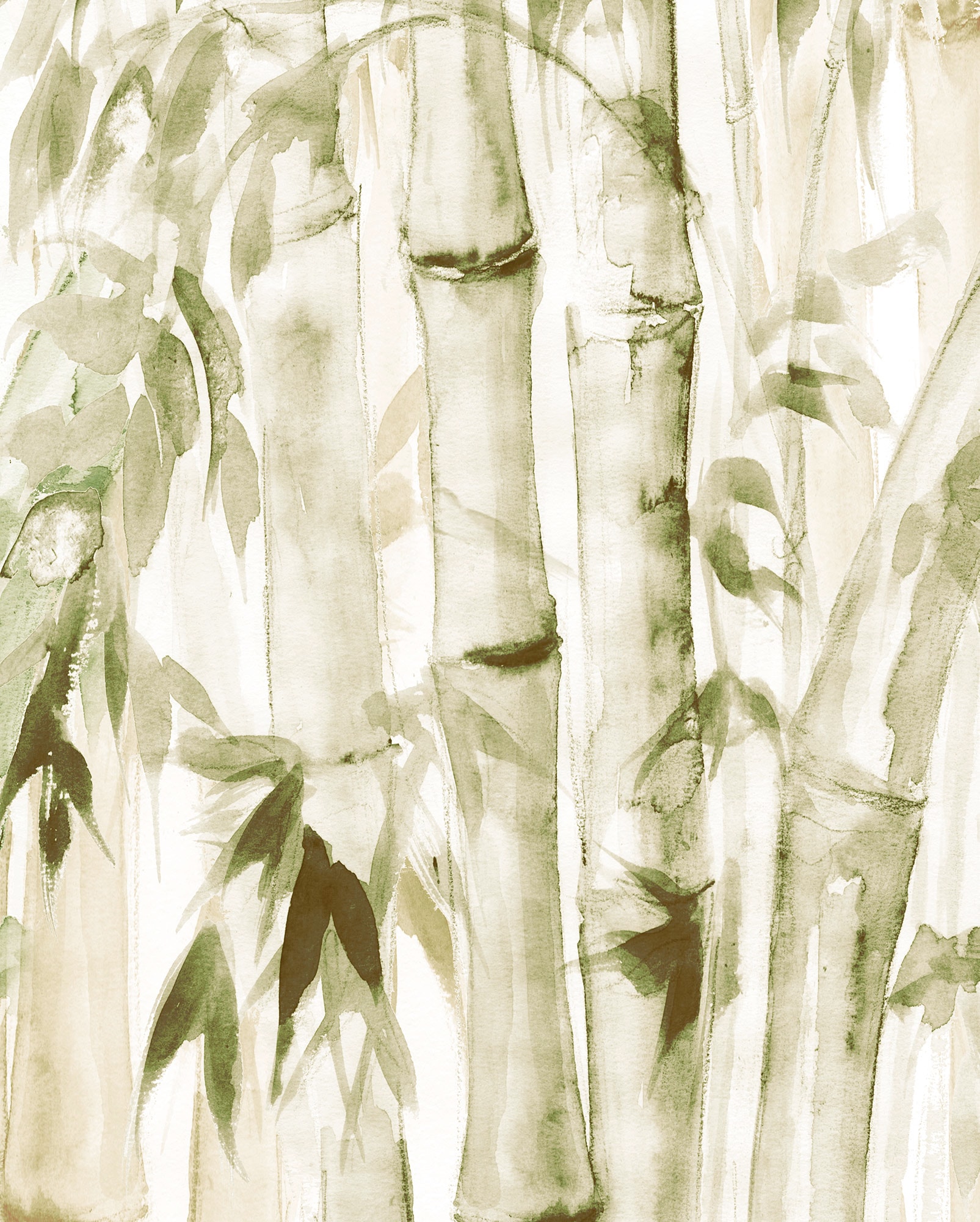 Komar Poster »Wild Bamboo«, (1 St.) von Komar