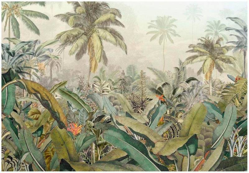 Komar Vliestapete »Vlies - Amazonia - Grösse 368 x 248 cm«, bedruckt, Wohnzimmer, Schlafzimmer von Komar