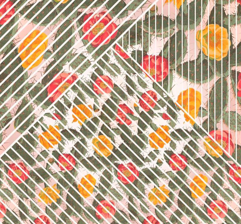 Komar Vliestapete »Digitaldruck Vlies - Cactus - Grösse 300 x 280 cm«, bedruckt, Wohnzimmer, Schlafzimmer von Komar