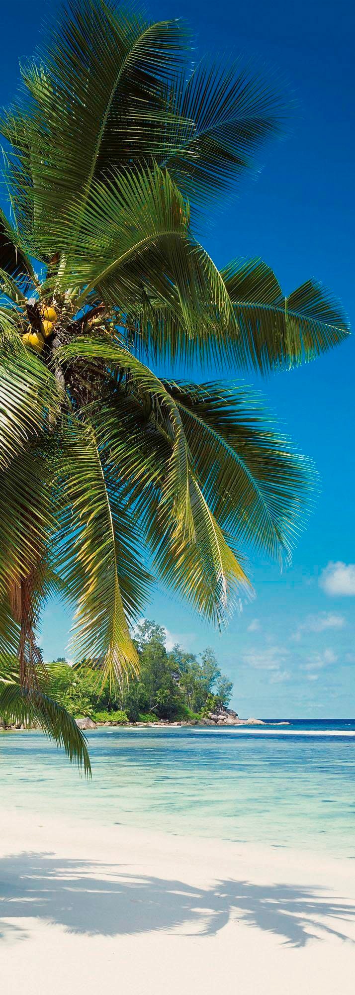 Komar Vliestapete »Coconut Bay« von Komar