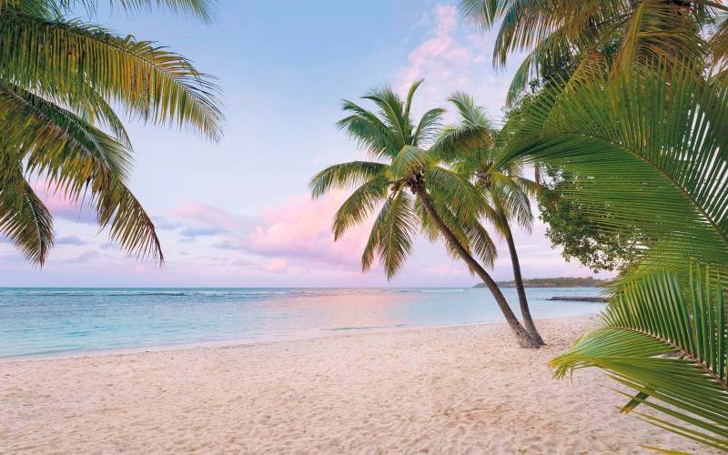 Komar Vliestapete »Digitaldruck Vlies - Paradise Morning - Grösse 400 x 250 cm«, bedruckt, Wohnzimmer, Schlafzimmer von Komar