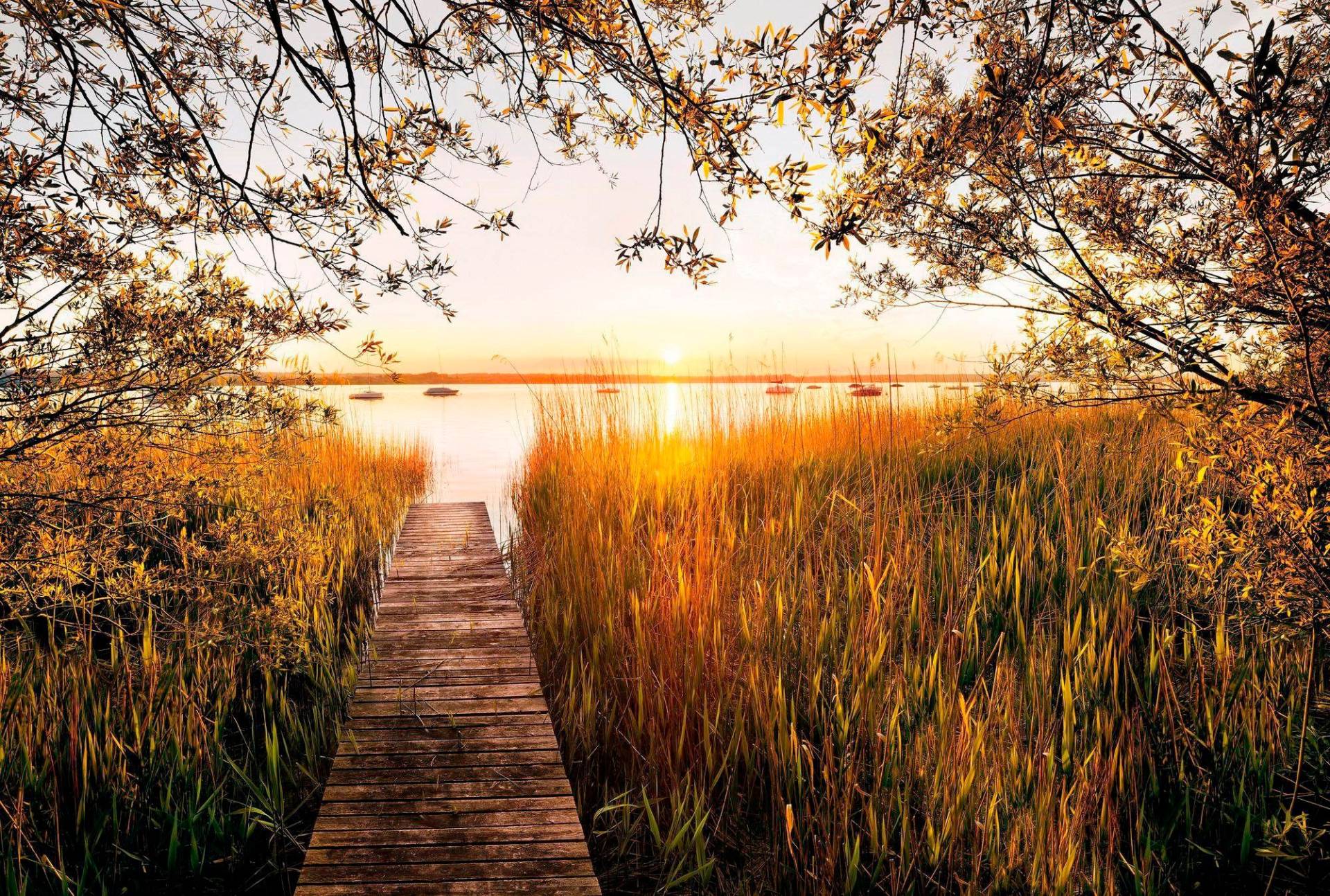 Komar Vliestapete »Lakeside« von Komar