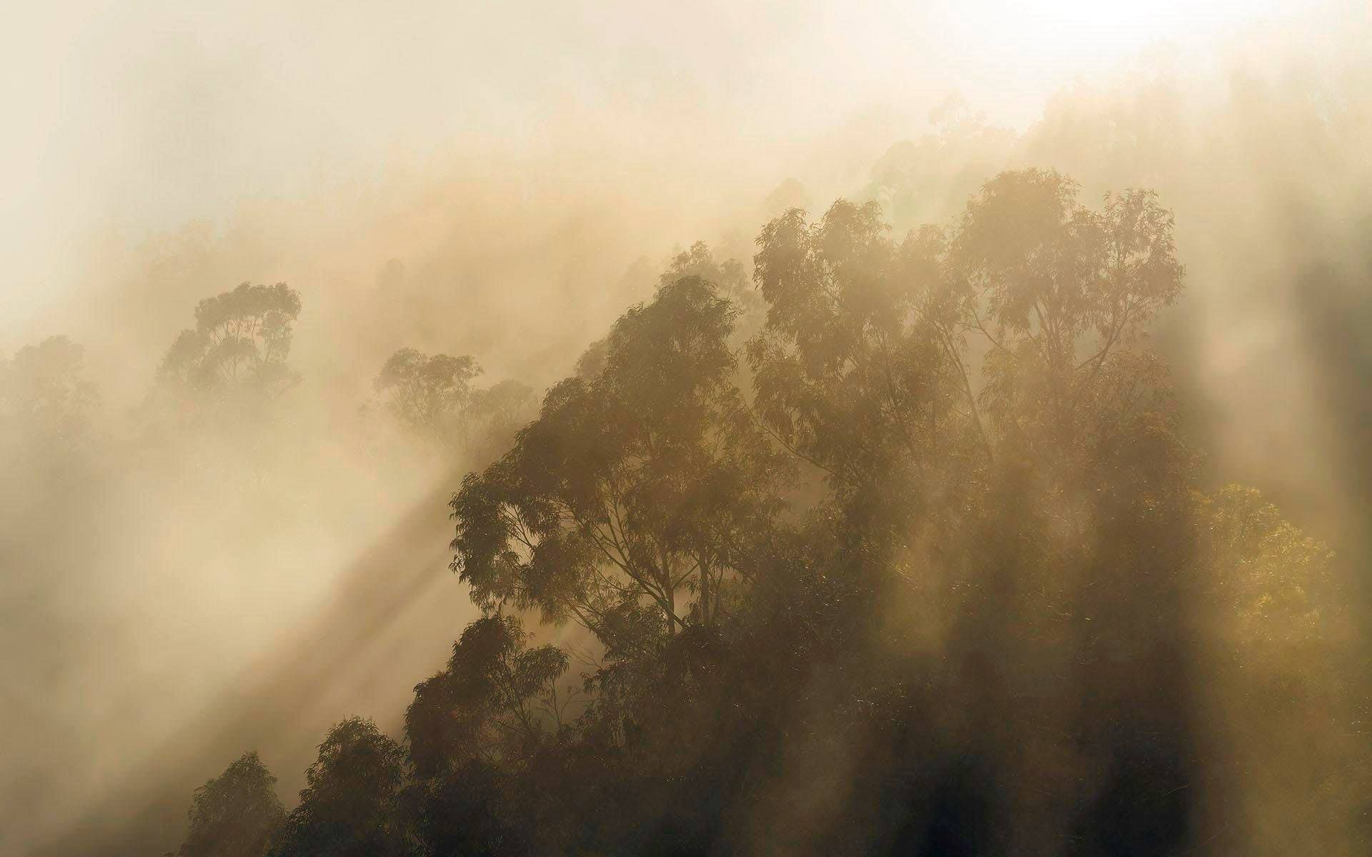 Komar Vliestapete »Misty Mountain« von Komar