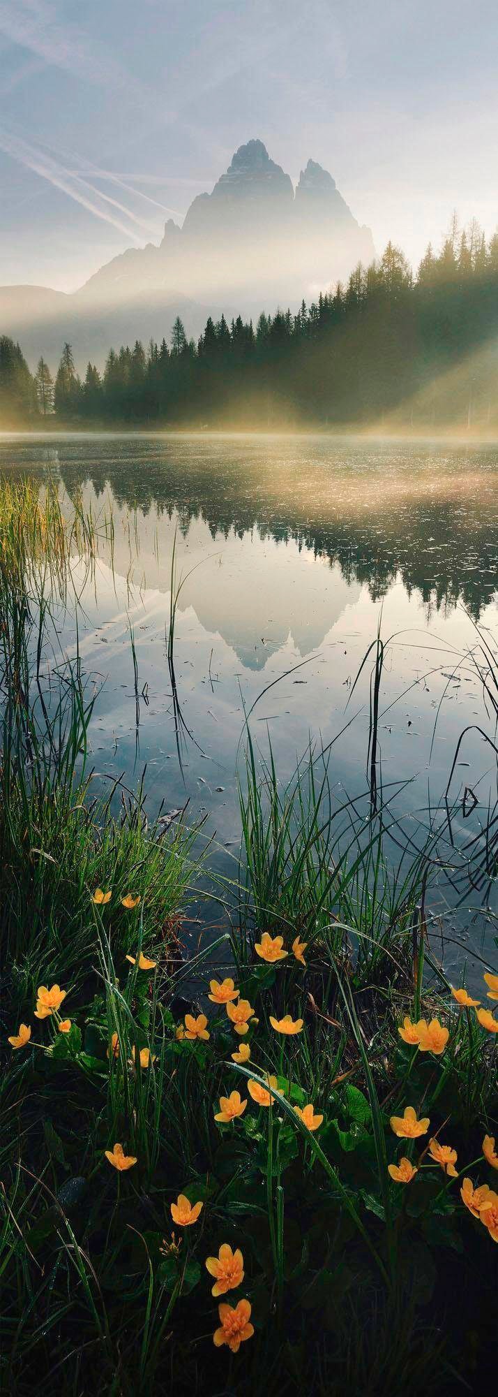Komar Vliestapete »Digitaldruck Vlies - Morning Mist - Grösse 100 x 280 cm«, bedruckt, Wohnzimmer, Schlafzimmer von Komar