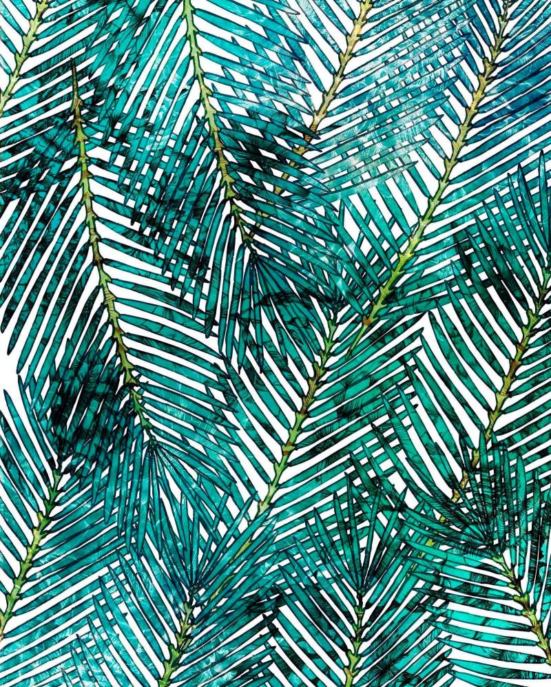 Komar Vliestapete »Digitaldruck Vlies - Palm Canopy - Grösse 200 x 250 cm«, bedruckt, Wohnzimmer, Schlafzimmer von Komar