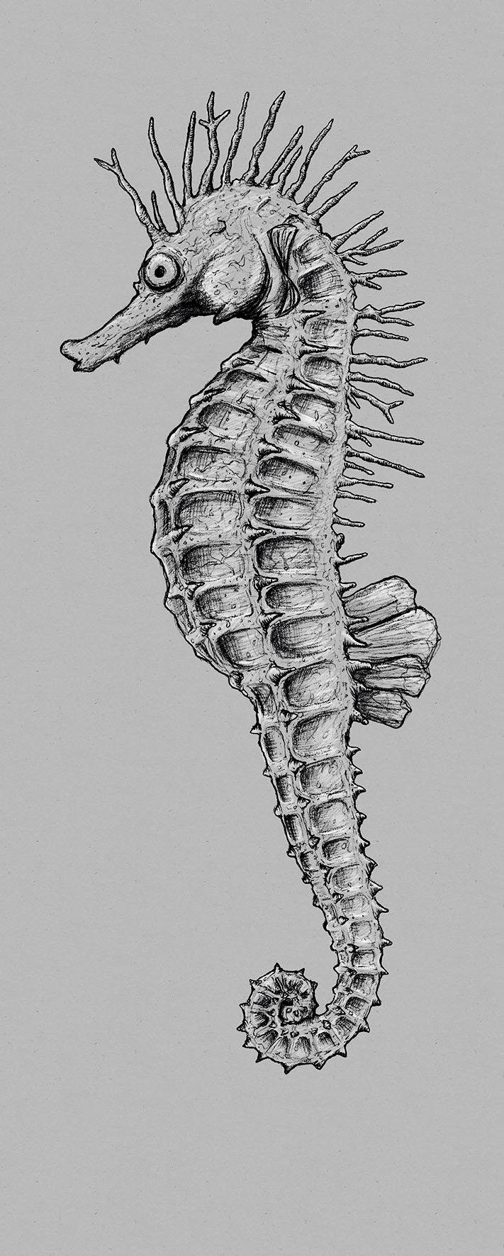 Komar Vliestapete »Seahorse Panel« von Komar