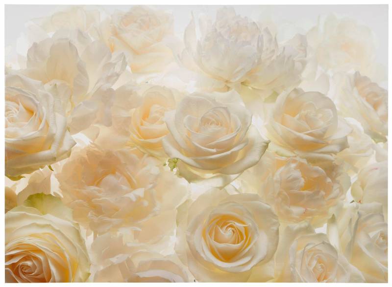 Komar Vliestapete »Vlies - Shalimar - Grösse 368 x 248 cm«, bedruckt, Wohnzimmer, Schlafzimmer von Komar