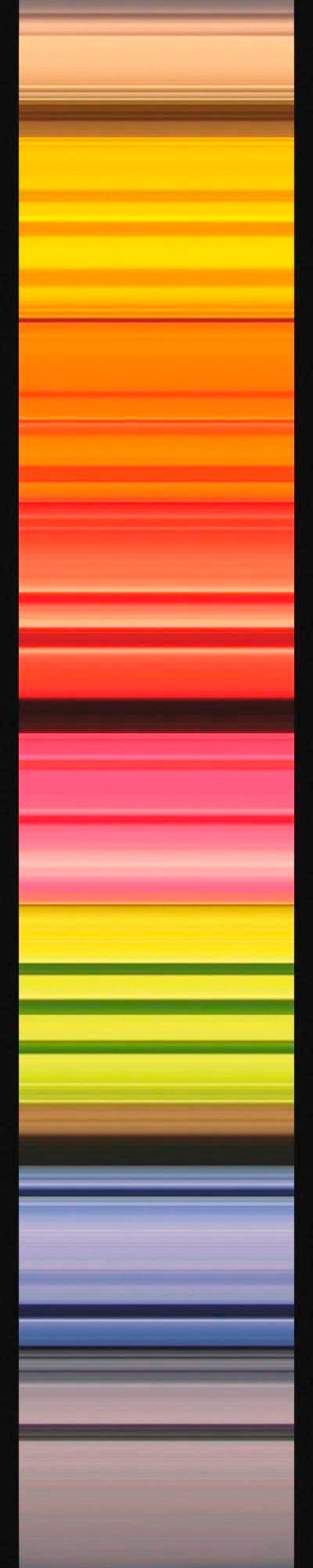 Komar Vliestapete »Digitaldruck Vlies - Stripes - Grösse 50 x 270 cm«, bedruckt, Wohnzimmer, Schlafzimmer Komar Vliestapete »Digitaldruck Vlies - Stripes - Grösse 50 x 270 cm«, bedruckt, Wohnzimmer, Schlafzimmer von Komar