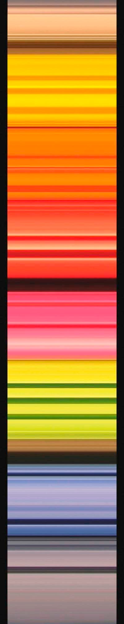 Komar Vliestapete »Digitaldruck Vlies - Stripes - Grösse 50 x 270 cm«, bedruckt, Wohnzimmer, Schlafzimmer von Komar