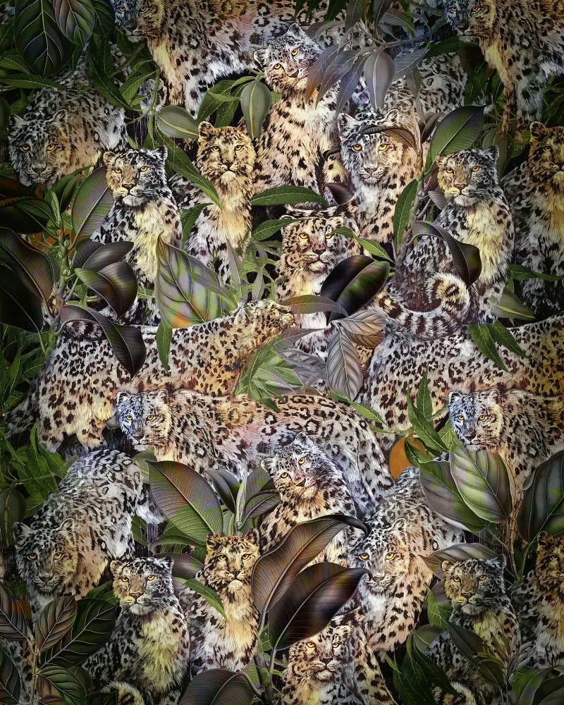 Komar Vliestapete »Digitaldruck Vlies - Wild Cats - Grösse 200 x 250 cm«, bedruckt, Wohnzimmer, Schlafzimmer von Komar