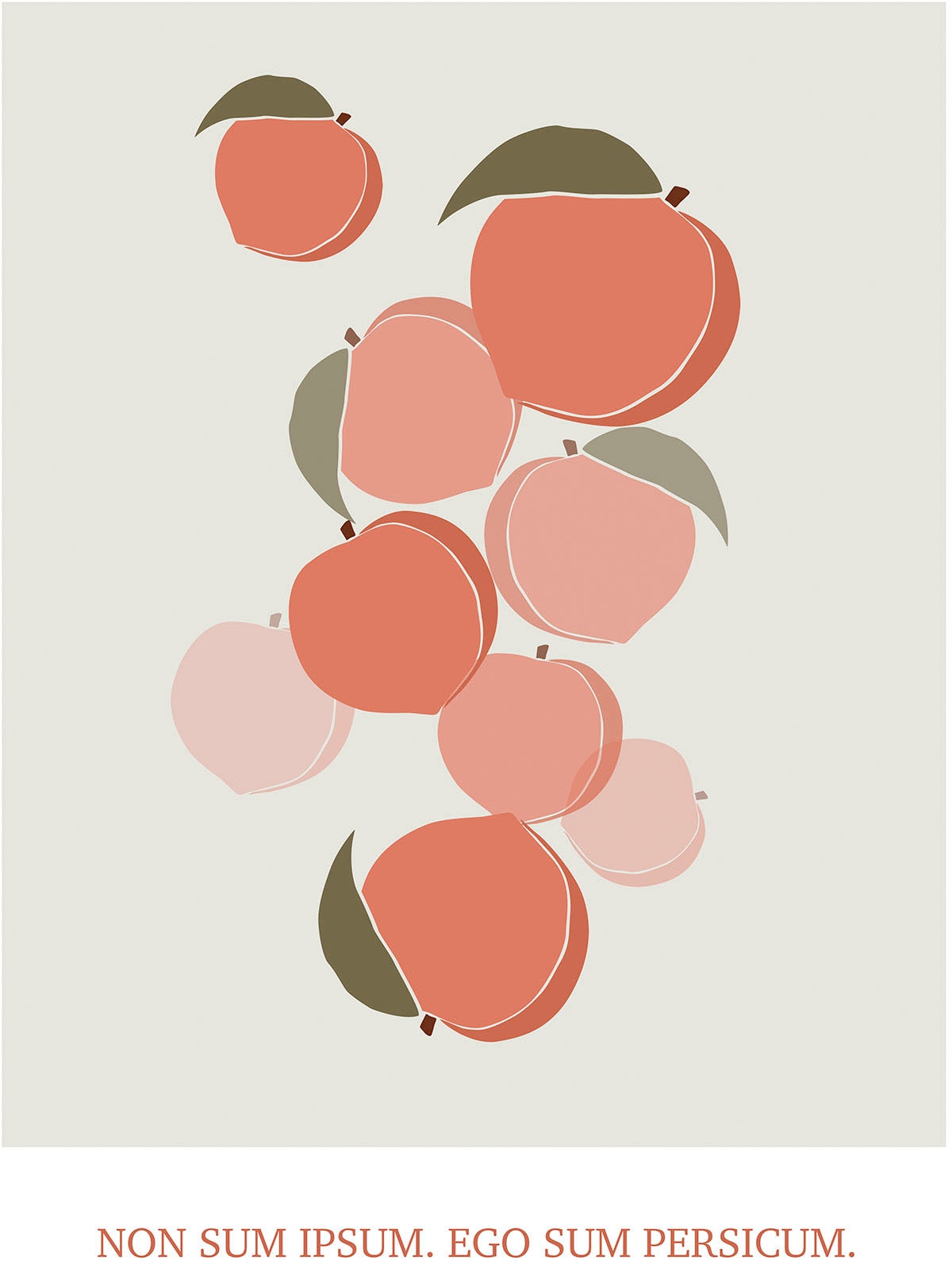 Komar Wandbild »Cultivated Peaches«, (1 St.), Deutsches Premium-Poster Fotopapier mit seidenmatter Oberfläche und hoher Lichtbeständigkeit. Für fotorealistische Drucke mit gestochen scharfen Details und hervorragender Farbbrillanz. von Komar