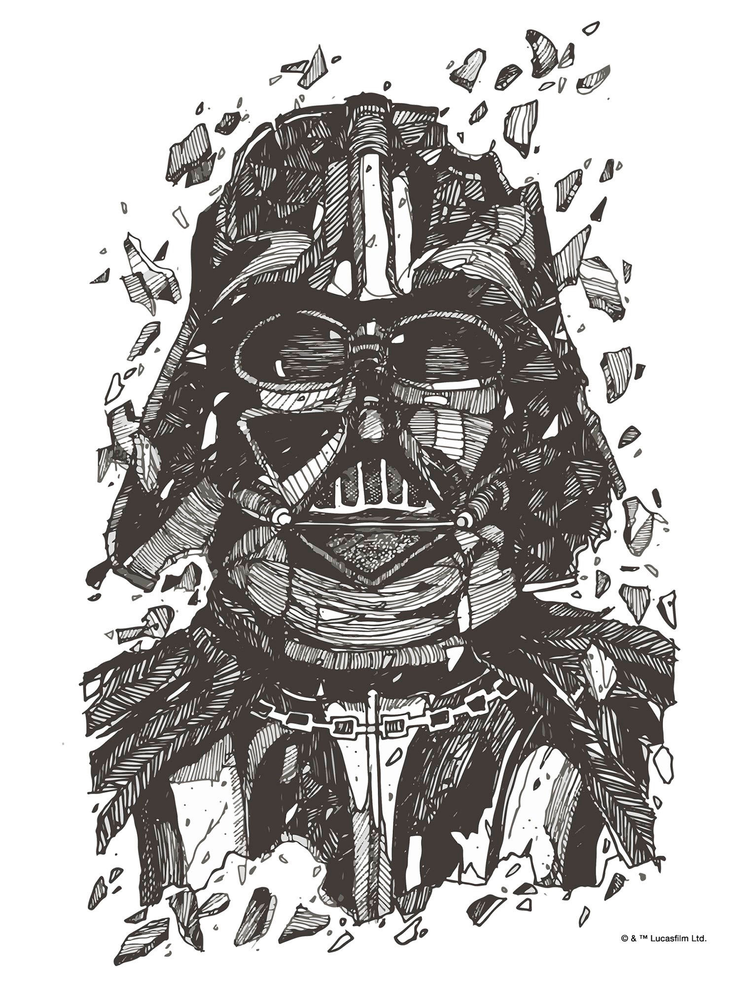Komar Bild »Star Wars Darth Vader Drawing«, Disney, (1 St.), Wandbild zur Dekoration im Kinderzimmer - ohne Rahmen Komar Bild »Star Wars Darth Vader Drawing«, Disney, (1 St.), Wandbild zur Dekoration im Kinderzimmer - ohne Rahmen von Komar