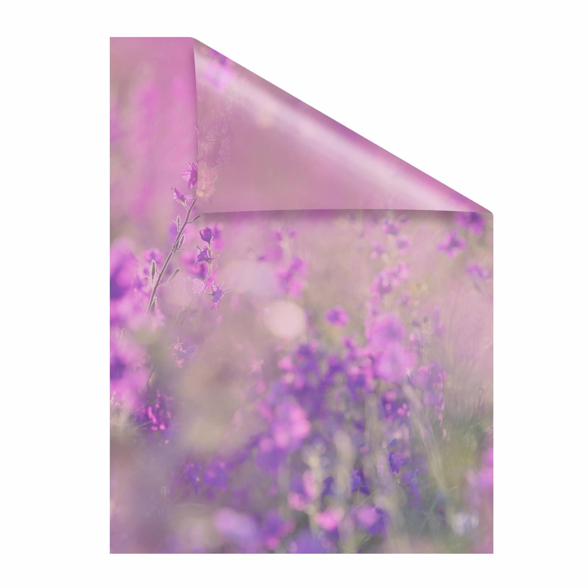 LICHTBLICK ORIGINAL Fensterfolie »Blumenwiese«, 1 St., blickdicht, strukturiertKlebepunkte von LICHTBLICK ORIGINAL
