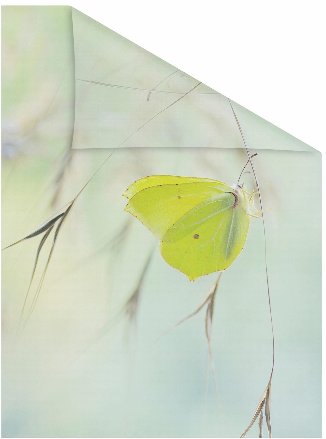 LICHTBLICK ORIGINAL Fensterfolie »Schmetterling Grün«, 1 St., blickdicht, strukturiertKlebepunkte, selbstklebend, Sichtschutz von LICHTBLICK ORIGINAL