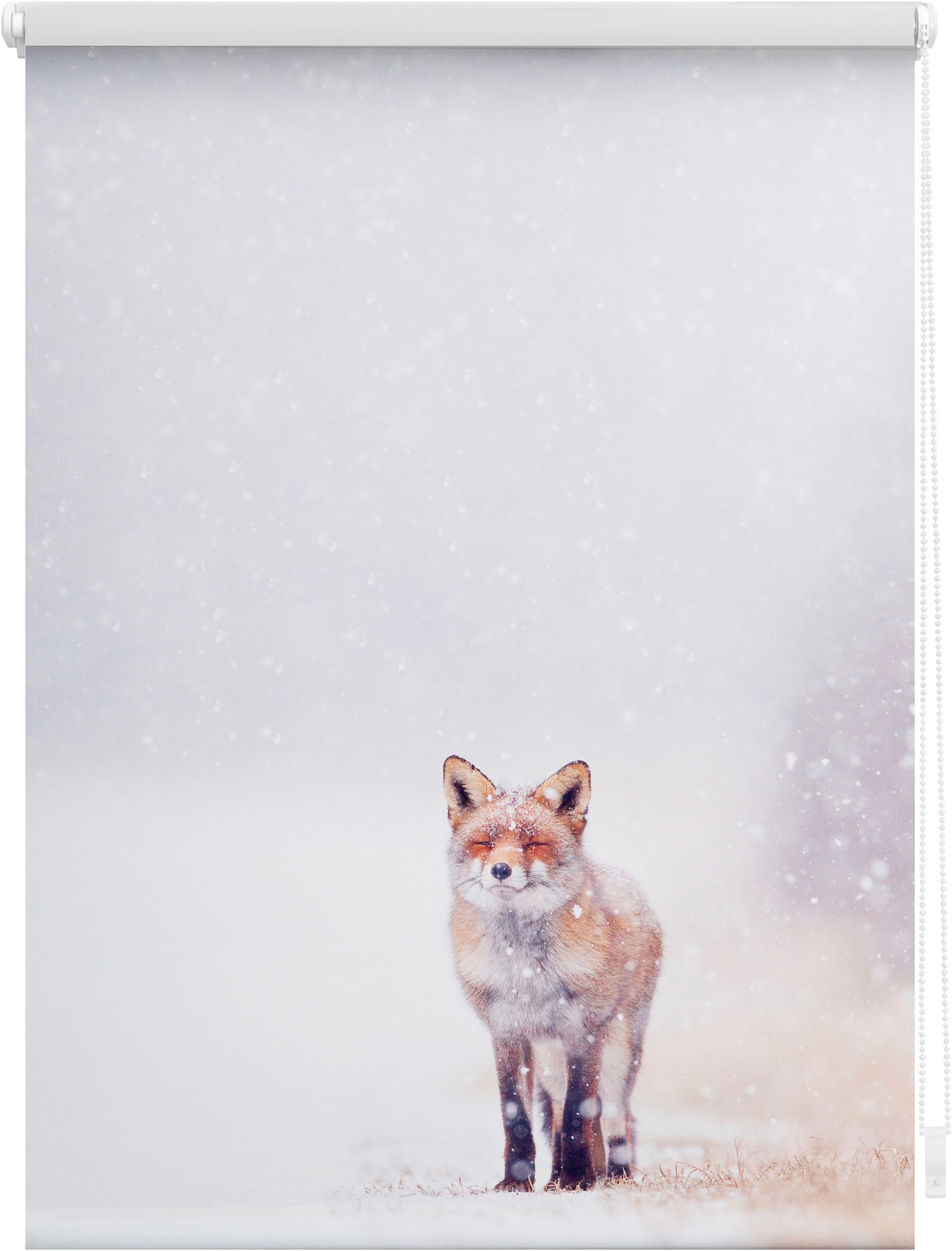 LICHTBLICK ORIGINAL Seitenzugrollo »Klemmfix Motiv Fuchs im Schnee«, Lichtschutz, ohne Bohren, freihängend von LICHTBLICK ORIGINAL