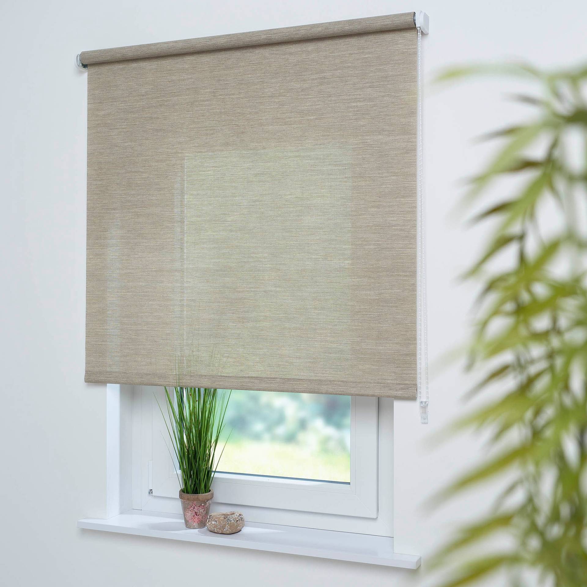 Liedeco Seitenzugrollo »Struktur«, Lichtschutz, mit Bohren, freihängend, Welle 36 mm stabiler Kettenzug Liedeco Seitenzugrollo »Struktur«, Lichtschutz, mit Bohren, freihängend, Welle 36 mm stabiler Kettenzug von LIEDECO