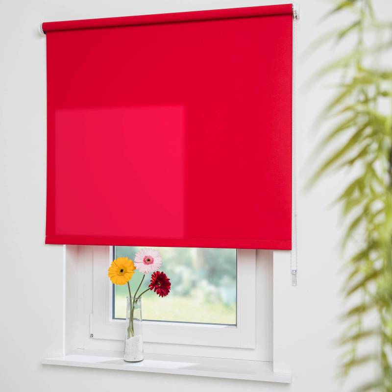 Liedeco Seitenzugrollo »Uni«, Lichtschutz, mit Bohren, freihängend, Welle 36 mm stabiler Kettenzug von LIEDECO