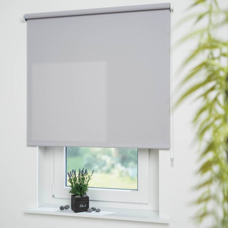 Liedeco Seitenzugrollo »Uni«, Lichtschutz, mit Bohren, freihängend, Welle 36 mm stabiler Kettenzug von LIEDECO